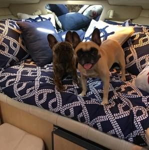 Meet your Posher, Erik